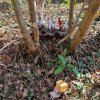 04 Aktion April 25 Feen und Wichtelwald